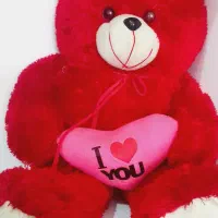 خرس|اسباب‌بازی بچه|خرمشهر, |دیوار