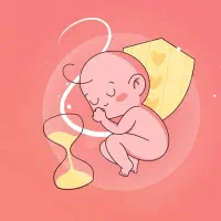 نیازمنده تخمک اهدایی ورحم جایگزی