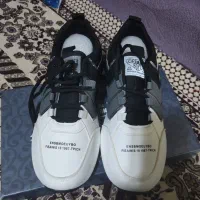 کفش نو|کیف، کفش، کمربند|بندرعباس, |دیوار