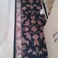 کنار سالم