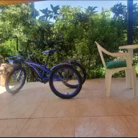 سه چرخه بزرگسالان و معلولین