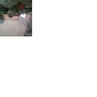 اکواریوم با ماهی|ماهی|اردبیل, |دیوار