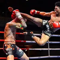 آموزش هنرهای رزمی کیک بوکسینگ