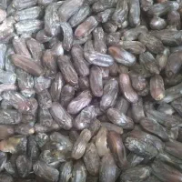 خرما ربی ارگانیک|خوردنی و آشامیدنی|بمپور, |دیوار