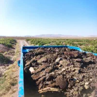 کود گوسفندی درجه یک پول دو گونی کود