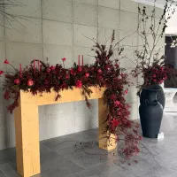 عکاسی یلدایی کودک و بزرگسال