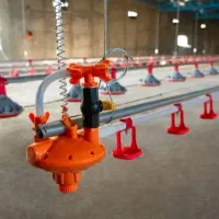 صفرتاصد لوازم و نصب مرغداری گوشتی