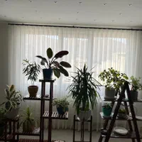 پرده مینیمال پرده سرای مدرن|پرده، رانر، رومیزی|کرمانشاه, |دیوار