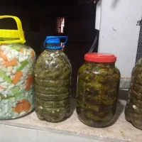 محصولات انواع ترشی و سبزیجات خانگی|خوردنی و آشامیدنی|تهران, قیام|دیوار