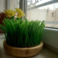 سنبل و سبزه مصنوعی|گل مصنوعی|بوشهر, |دیوار