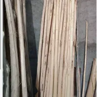 خرید فروش چوب از باغات وخانه های کلنگی|خدمات باغبانی و درختکاری|مرند, |دیوار