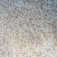 برنج طارم هاشمی اصل درجه یک با آب جنگل