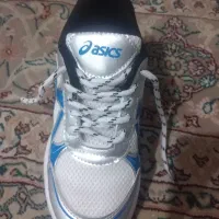 کفش نو|کیف، کفش، کمربند|شیراز, لشکری‎|دیوار