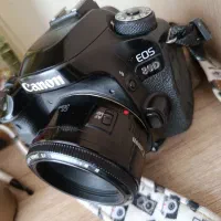 کنون80d|دوربین عکاسی و فیلم‌برداری|مشهد, پایین خیابان|دیوار