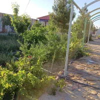 باغ2000متری در منطقه ای خوش آب وهوا ی گوهردشت|فروش خانه و ویلا|مشهد, فارغ التحصیلان|دیوار