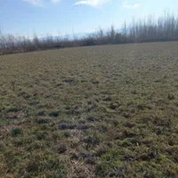 زمین باغی خارج طرح مناسب درختکاری|فروش دفتر صنعتی، کشاورزی، تجاری|صومعه‌سرا, |دیوار