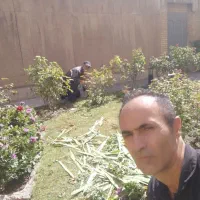 گلکاری چمن کاری چمن زنی سم پاشی هرس انگور و درختان|خدمات باغبانی و درختکاری|تبریز, |دیوار