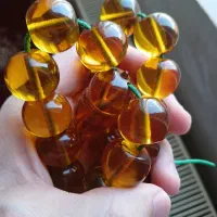 تسبیح سندلوس اب حیات بزرگ