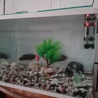 آکواریوم با تجهیزات کامل