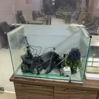 آکواریوم بزرگ و کوچک با تجهیزات