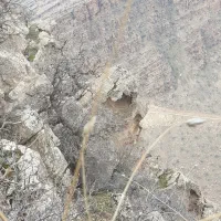 زمین  مسکونی فروشی