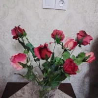 گل مصنوعی|گل مصنوعی|گرگان, |دیوار