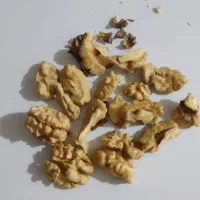 گردو پوست کاغذی مغز سفید