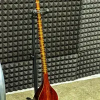 آموزش تخصصی تار و سهتار از مبتدی تا پیشرفته|خدمات آموزشی|اصفهان, خواجو|دیوار