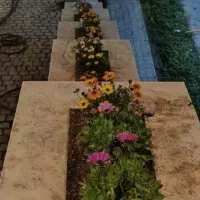 خدمات باغبانی و سم پاچی