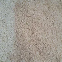 برنج گرده