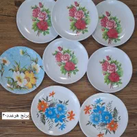 ورق بزن ظرف ظروف بشقاب ملامین قدیمی دیوارکوب سنتی|ظروف سرو و پذیرایی|مشهد, ادیب نیشابوری (شهرک غرب)|دیوار