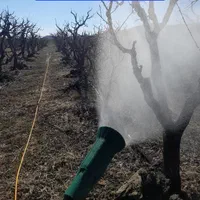 خدمات سمپاشی باغ و باغچه|خدمات باغبانی و درختکاری|ارومیه, |دیوار