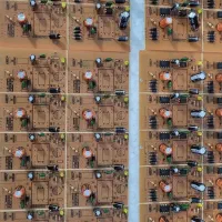 کارگر ساده خانم