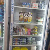 یخچال و استند