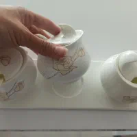 تعدادی وسیله تزیینی