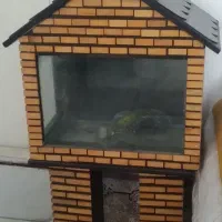 اکواریوم