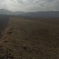 اجاره-زمین-کشاورزی-بارانی