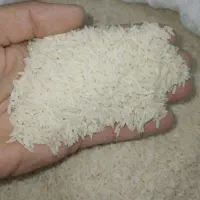 برنج هاشمی اعلاء|خوردنی و آشامیدنی|لنگرود, |دیوار
