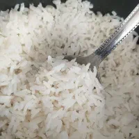 فروش ویژه برنج شمال . معطر و خوشمزه ،تست شده|خوردنی و آشامیدنی|اصفهان, فرهنگیان|دیوار