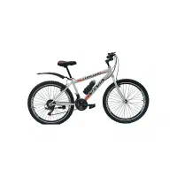 دوچـّرخه تایر پهن سُلطان+ عکس واقعی