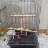 قفس طوطی ،کاسکو،مینا