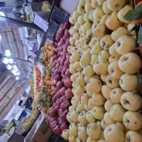 واگذاری کل لوازم میوی فروشی تکمیل