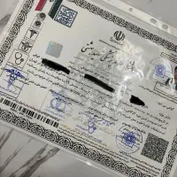 مدرک معتبر جندی شاپور. با استعلام غیر حضوری|خدمات آموزشی|زاهدان, |دیوار