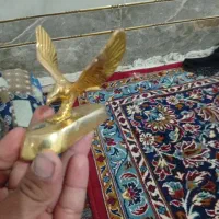 عقاب طلایی مارک توتا طلایی