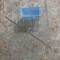 قفس|لوازم جانبی حیوانات|سراوان, |دیوار