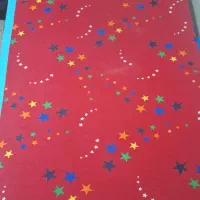 تشک پنبه ای سالم وپربار