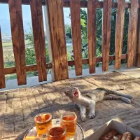 نجاری و پرسیانا|خدمات پیشه و مهارت|لاهیجان, انقلاب|دیوار