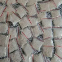 پودرشپش