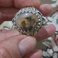 شجر ضمینه زرد رکاب استاد مرحوم شیخ احمد زنجان