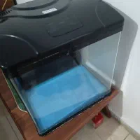 اکواریوم